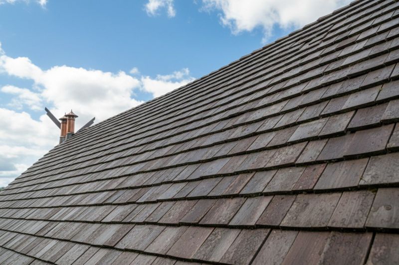 Cedar Shake Roof Replacement in Alexandria, VA
