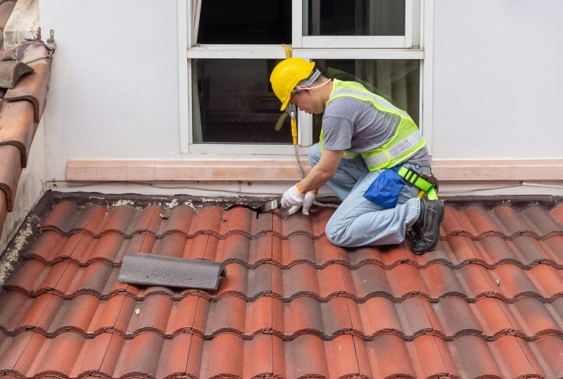 Common Signs You Need Professional Tile Roof Repair