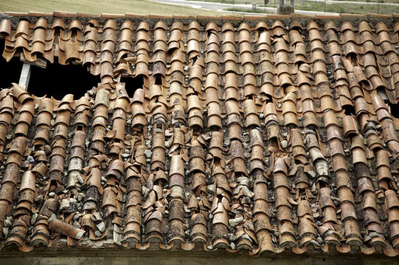 How Timely Tile Roof Repair Extends Roof Lifespan